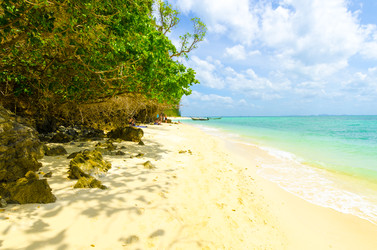 Similar image 22195638