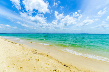 Similar image 22195912