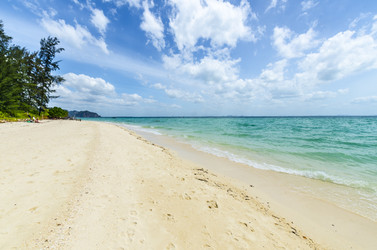 Similar image 22195915