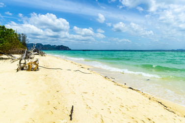 Similar image 22197563