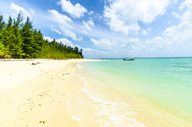 Similar image 22195916