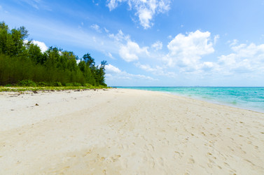 Similar image 22195917