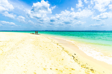 Similar image 22195919