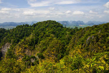 Similar image 22197578