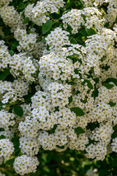 Similar image 22199550