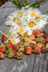 Similar image 22195462