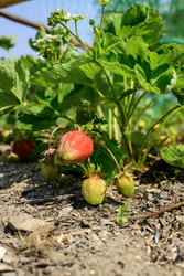 Similar image 22195465