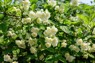 Similar image 22195468