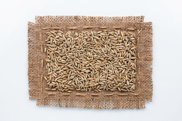 Similar image 22200642