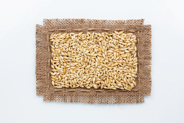 Similar image 22200643