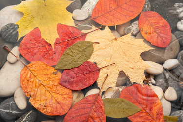 Similar image 22200666