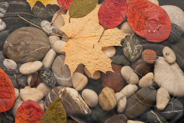 Similar image 22200668