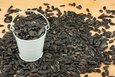 Similar image 22200669