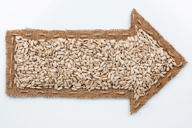 Similar image 22200691