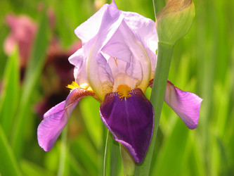 Similar image 22202986