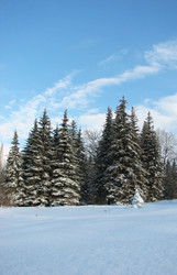 Similar image 22194860