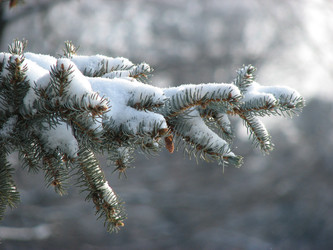 Similar image 22194861