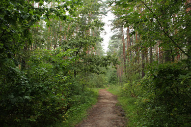 Similar image 22204763