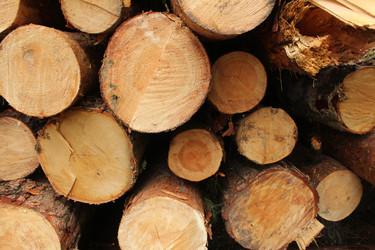 Similar image 22204765