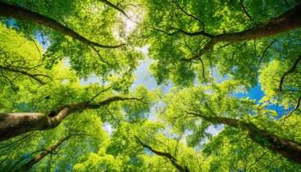 Similar image 22210254