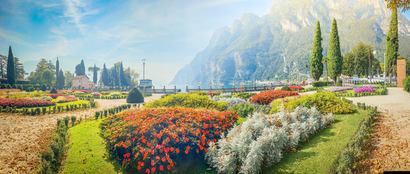 Similar image 22201515