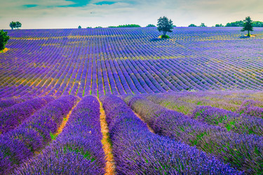 Similar image 22201518