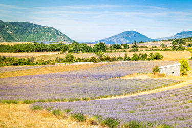 Similar image 22201524