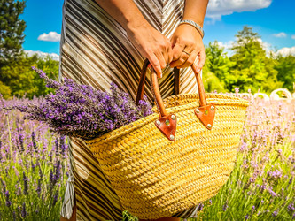 Similar image 22201526