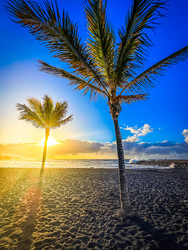 Similar image 22201538