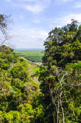 Similar image 22197582