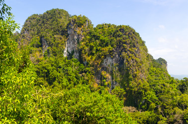 Similar image 22199781