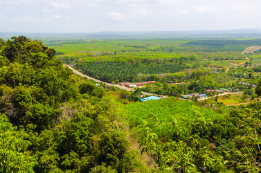 Similar image 22197593