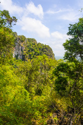 Similar image 22197602