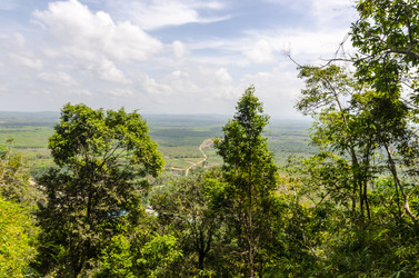 Similar image 22199784