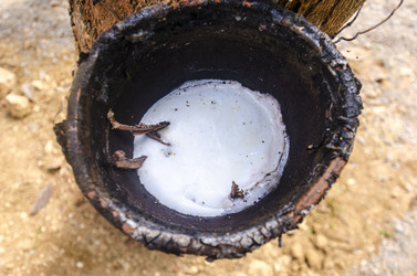 Similar image 22195921