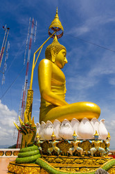 Similar image 22195924