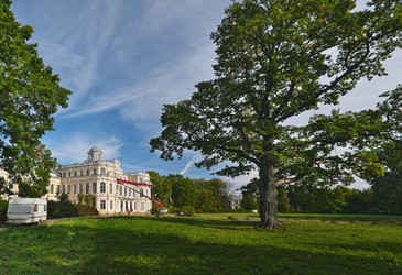 Similar image 22199944