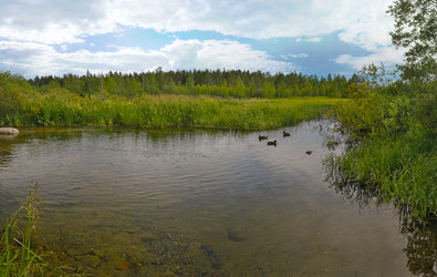 Similar image 22199946