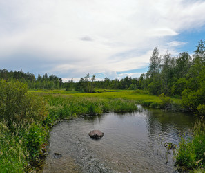 Similar image 22200230