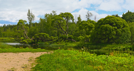 Similar image 22200244