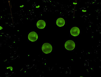 Similar image 22197714