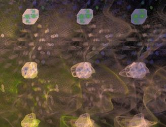 Similar image 22197721