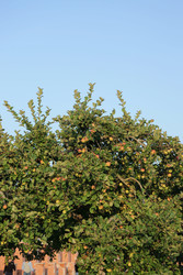 Similar image 22207908