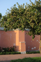 Similar image 22207915