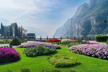 Similar image 22201554