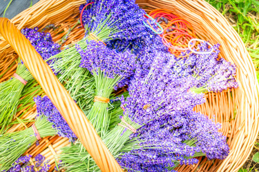 Similar image 22201556