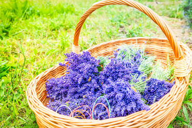 Similar image 22201558