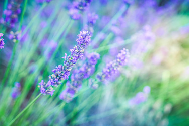 Similar image 22201559