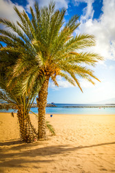 Similar image 22201568