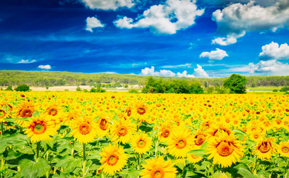 Similar image 22201574